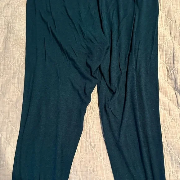 Women’s Size- large- Old Navy turquoise Drawstring sweat Pants - Picture 7 of 10